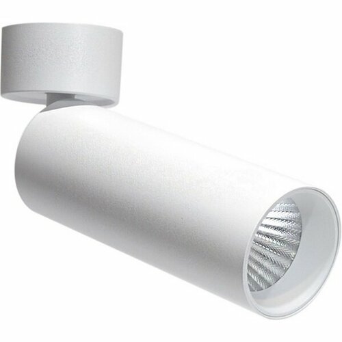 Спот Donolux Rollo DL18895R20W1W ST