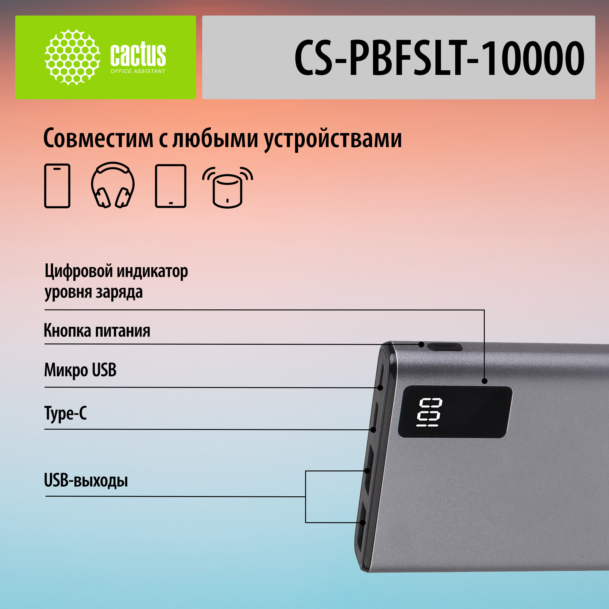 Мобильный аккумулятор Cactus CS-PBFSLT-10000 10000mAh 3A 2xUSB серый