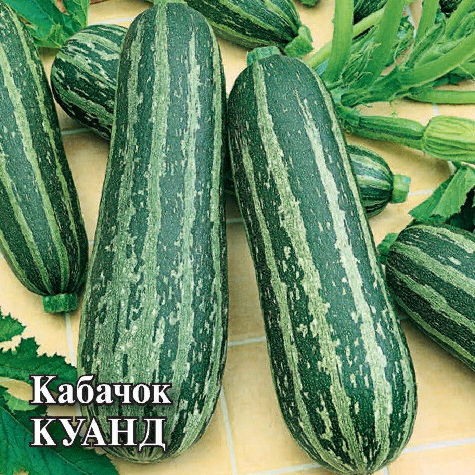 Семена Кабачок Куанд 100г Гавриш Фермерское подворье