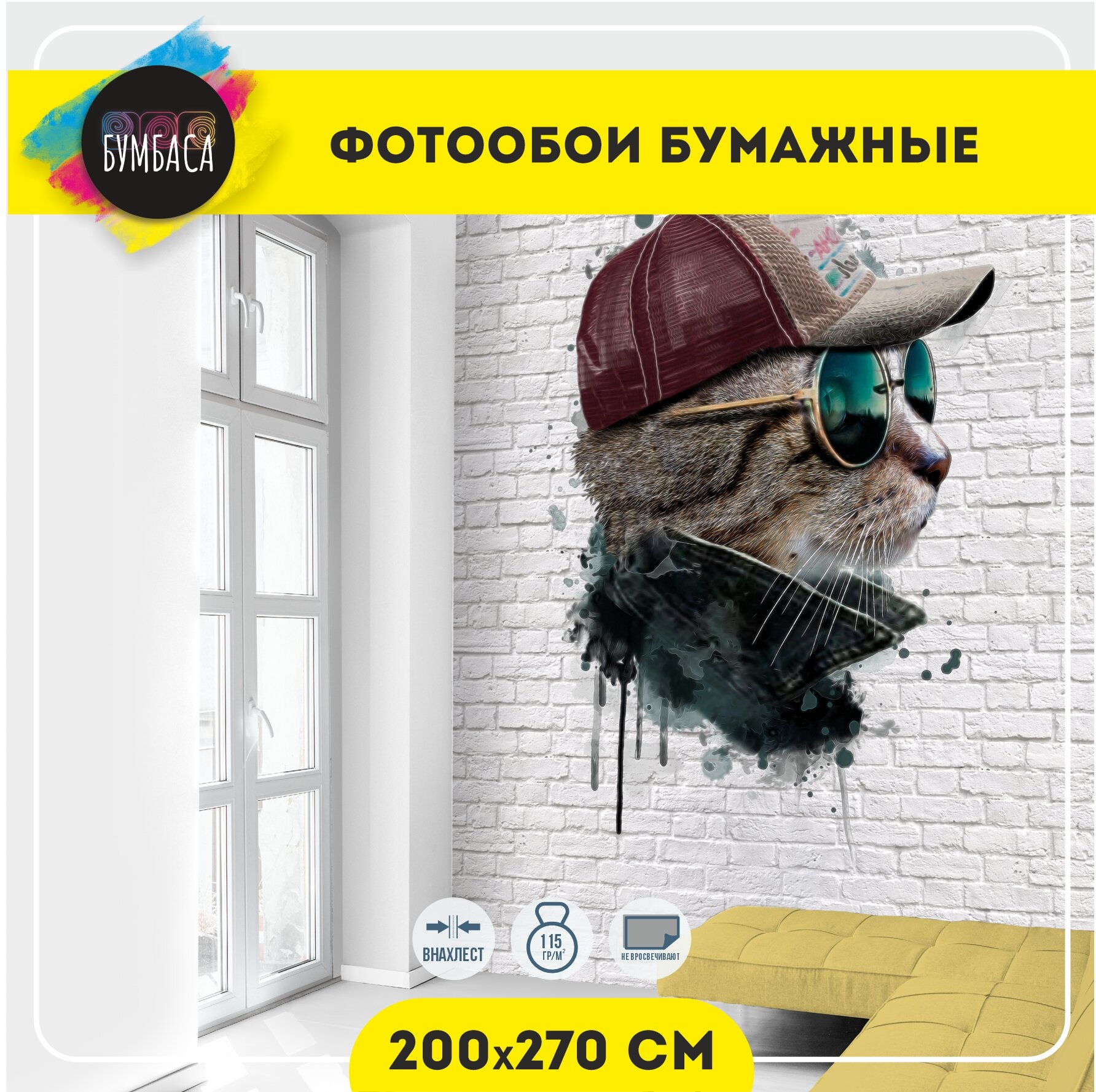 фото Фотообои Енот граффити, размер 107x180 см