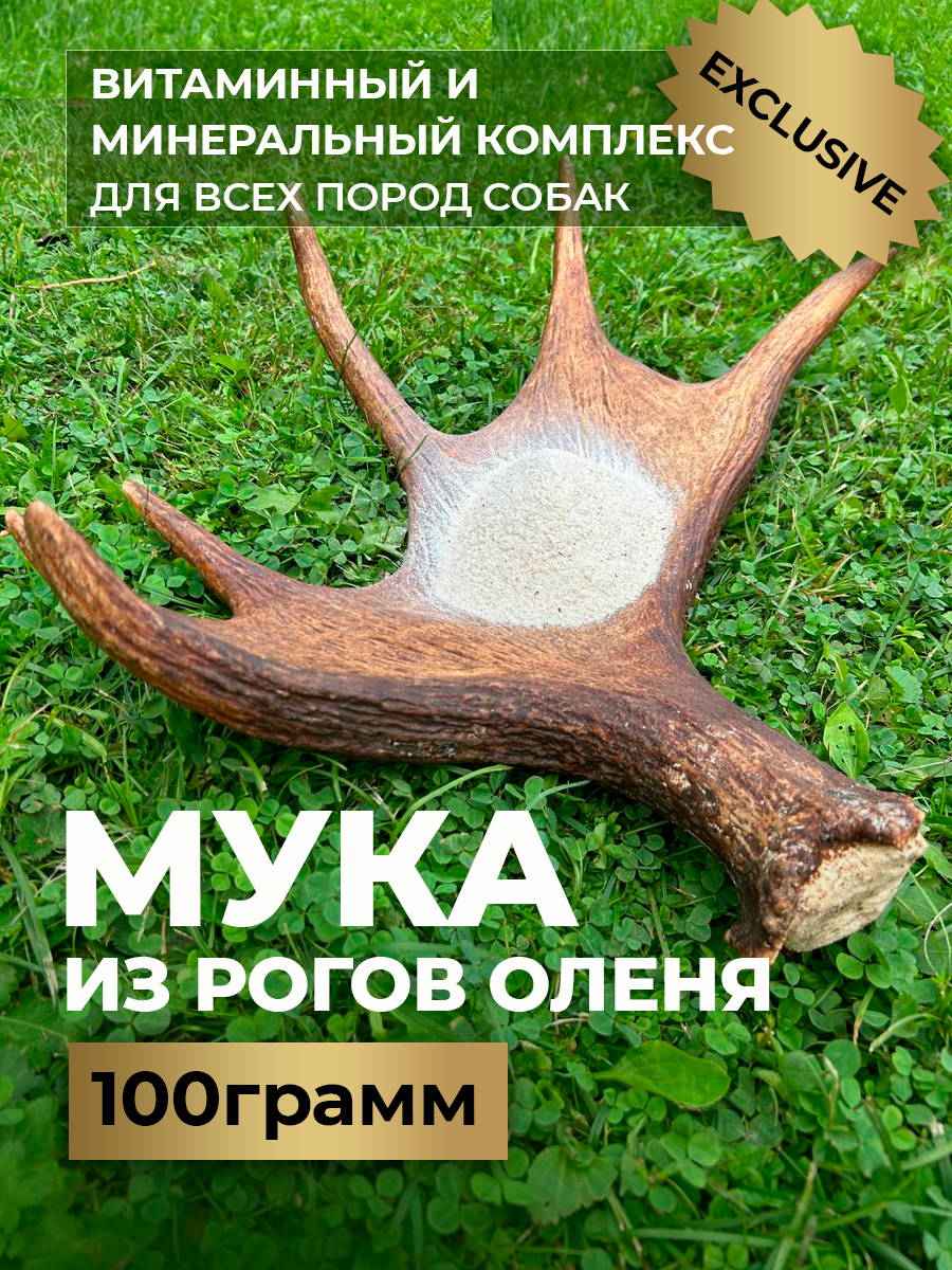 Мука из рогов оленя