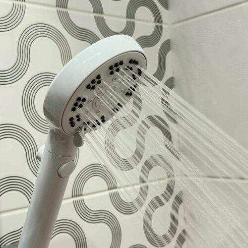 Изображение товара Лейка для душа 5-функциональная Vieir VR1046F-5 белая