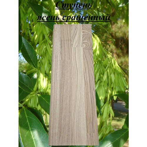 Ступень из массива ясеня сращенного толщина 20мм размер 300мм х 650мм