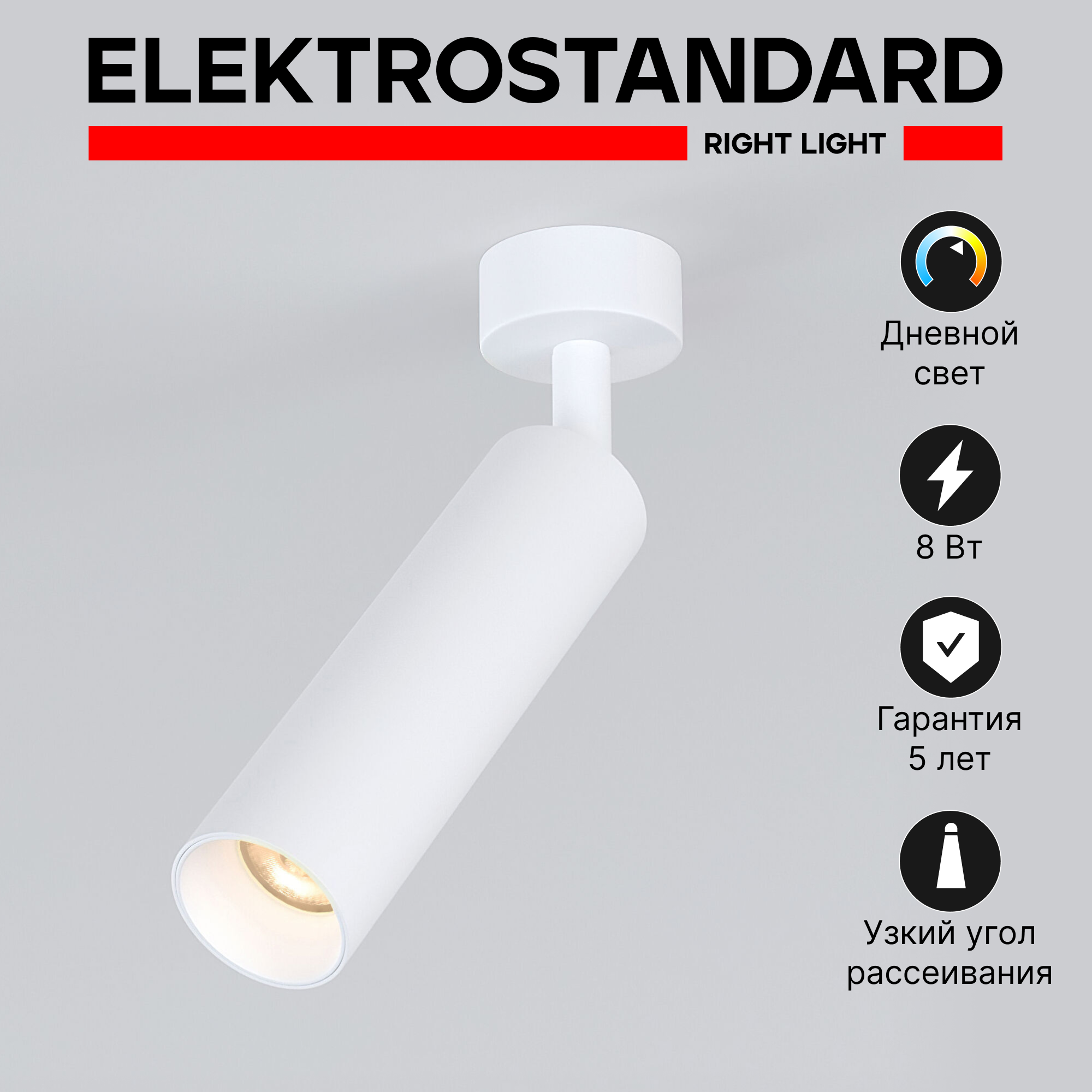 Спот / Накладной светодиодный светильник Diffe Elektrostandard 85239/01 8W 4200K белый
