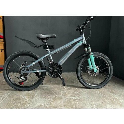 Велосипед Time Try TT021 20 Стальная рама Горный Детский Подростковый Для активного отдыха серый модель 2024 22500₽