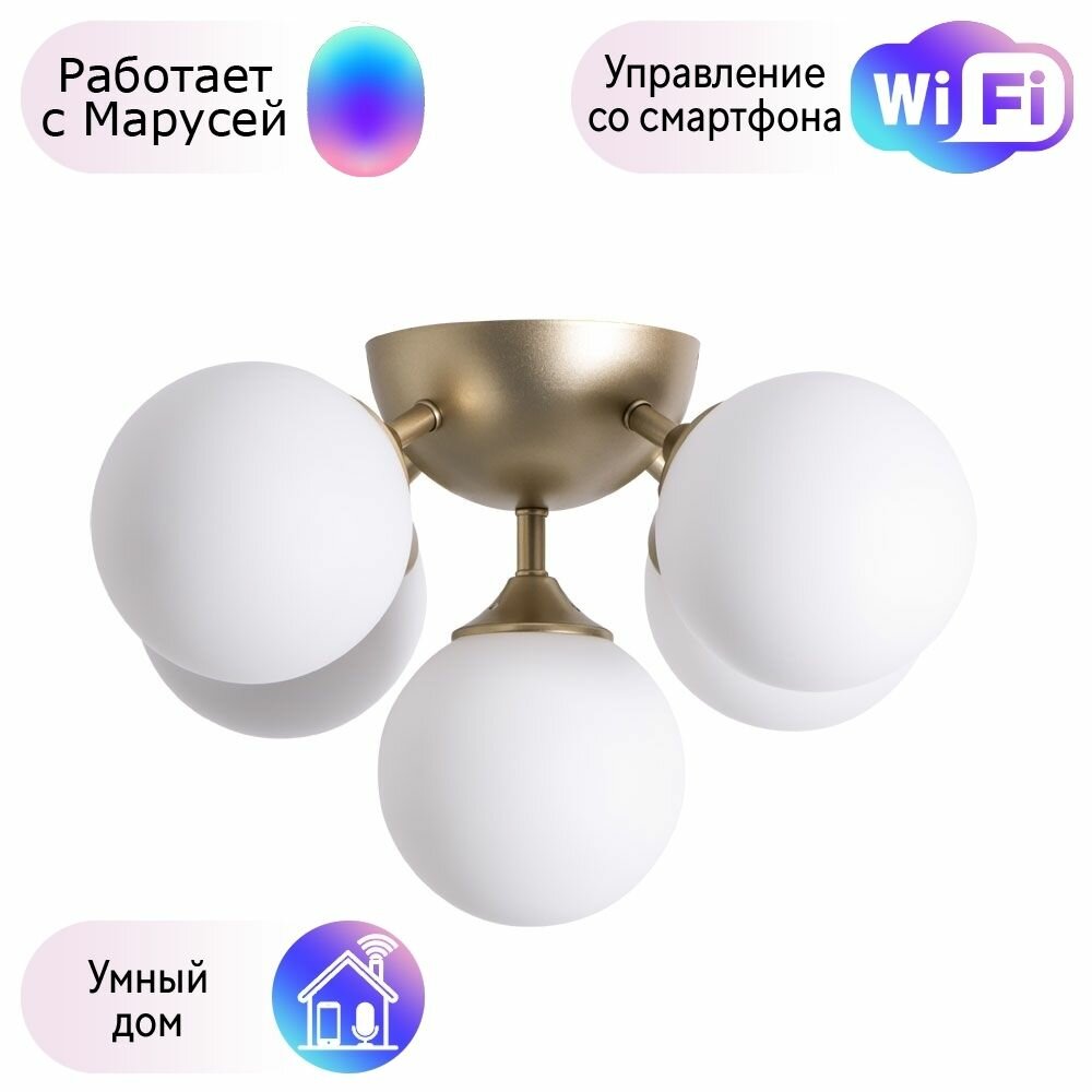 Потолочная люстра Arte lamp Fobos с поддержкой Маруся A2704PL-5SG-М - фото №1