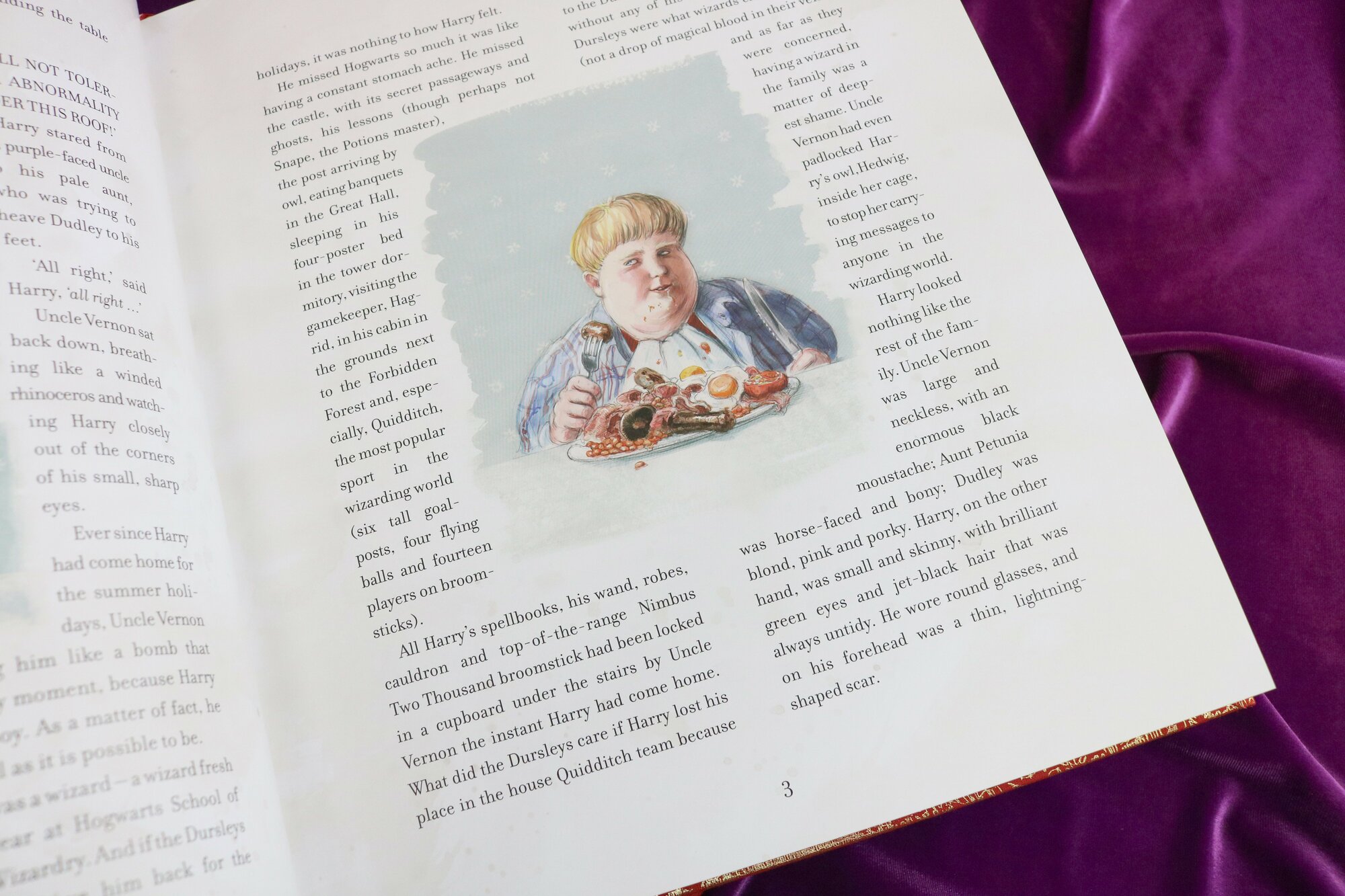 Гарри Поттер и тайная комната: Делюкс иллюстрированное издание, Harry Potter and the Chamber of Secrets: Deluxe Illustrated Slipcase Edition - фото №14