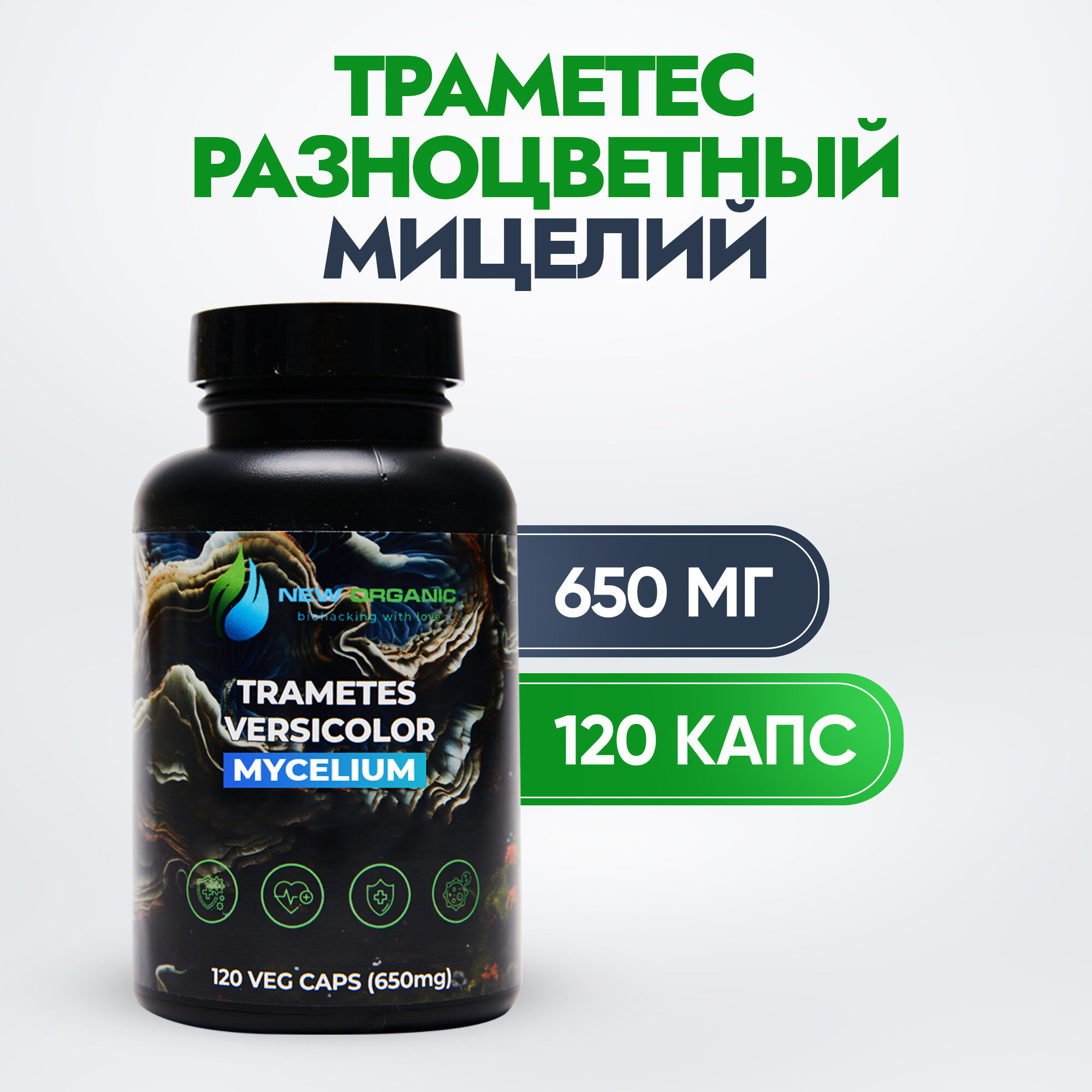 Траметес разноцветный,...