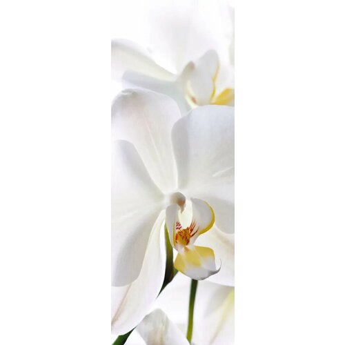 Фотообои Decocode флизелиновые 11-0156-FW Вдохновение 281 мелкая вертикальная фактура 1999₽