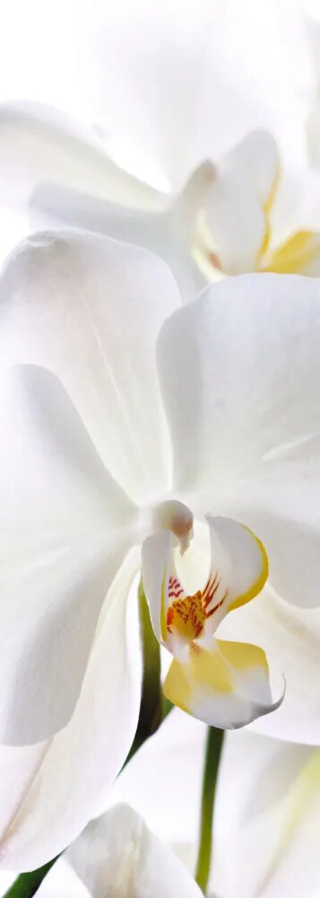 фото Фотообои Decocode флизелиновые 11-0156-FW Вдохновение 2,8*1 мелкая вертикальная фактура