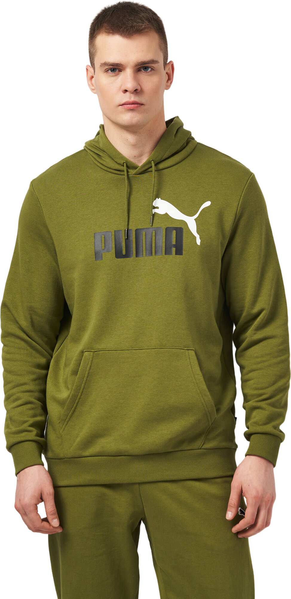 Толстовка спортивная PUMA Essentials+ Two-Tone Big Logo Men's Hoodie
