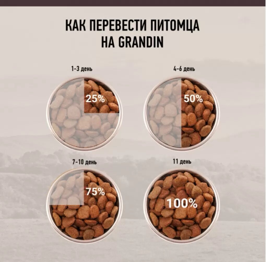 Grandin Holistic сухой корм для собак средних и крупных пород с ягненком 2,7 кг - фото №8