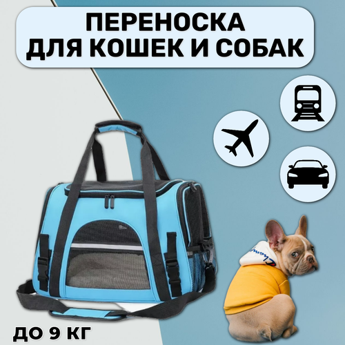 Переноска-сумка для кошек и собак, голубой