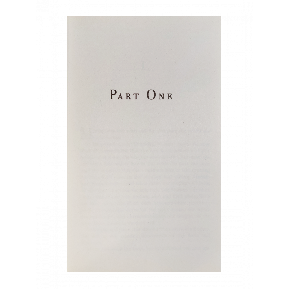 Книга A Thousand Splendid Suns - фото №8