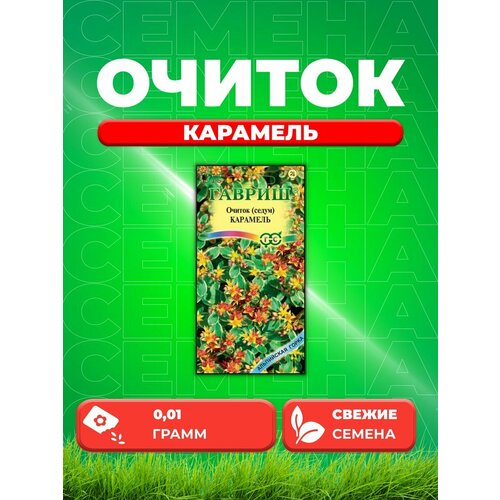 семена седум очиток красная роза 2 упаковки 2 подарка Очиток Карамель (камчатский) 0,01 г. Альпийская горка