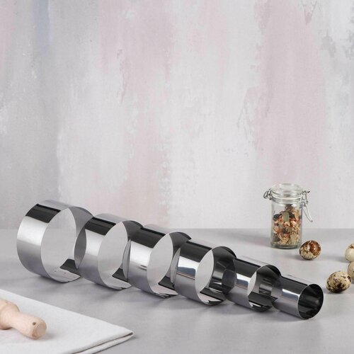 Набор форм для выпечки и выкладки Круг D-10 H-5 см 6 шт 642₽