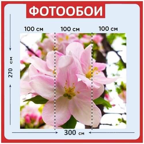 Фотообои Розовый цветы лепестки 300x270 см флизелиновыена стену 3940₽