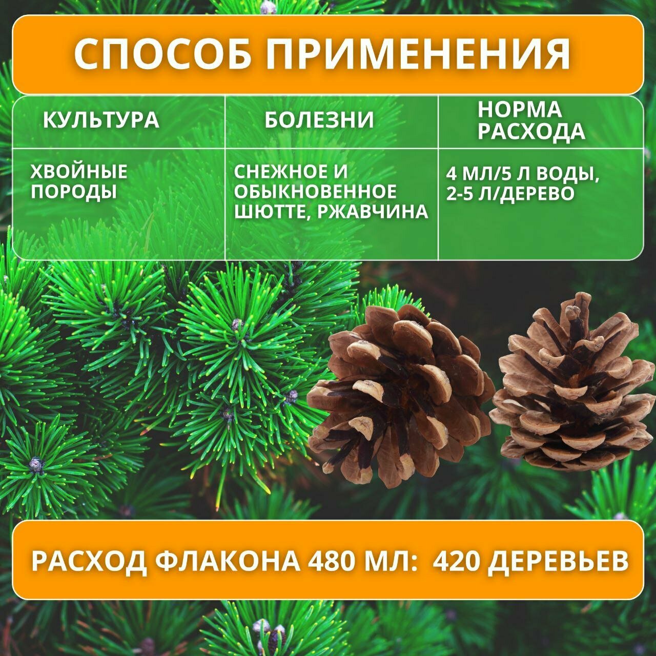 Картинки Август / Ракурс - средство для борьбы с ржавчиной на хвойных растениях, для борьбы с шютте флакон 480 мл