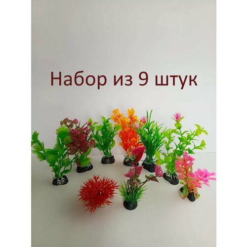 Растения для аквариума