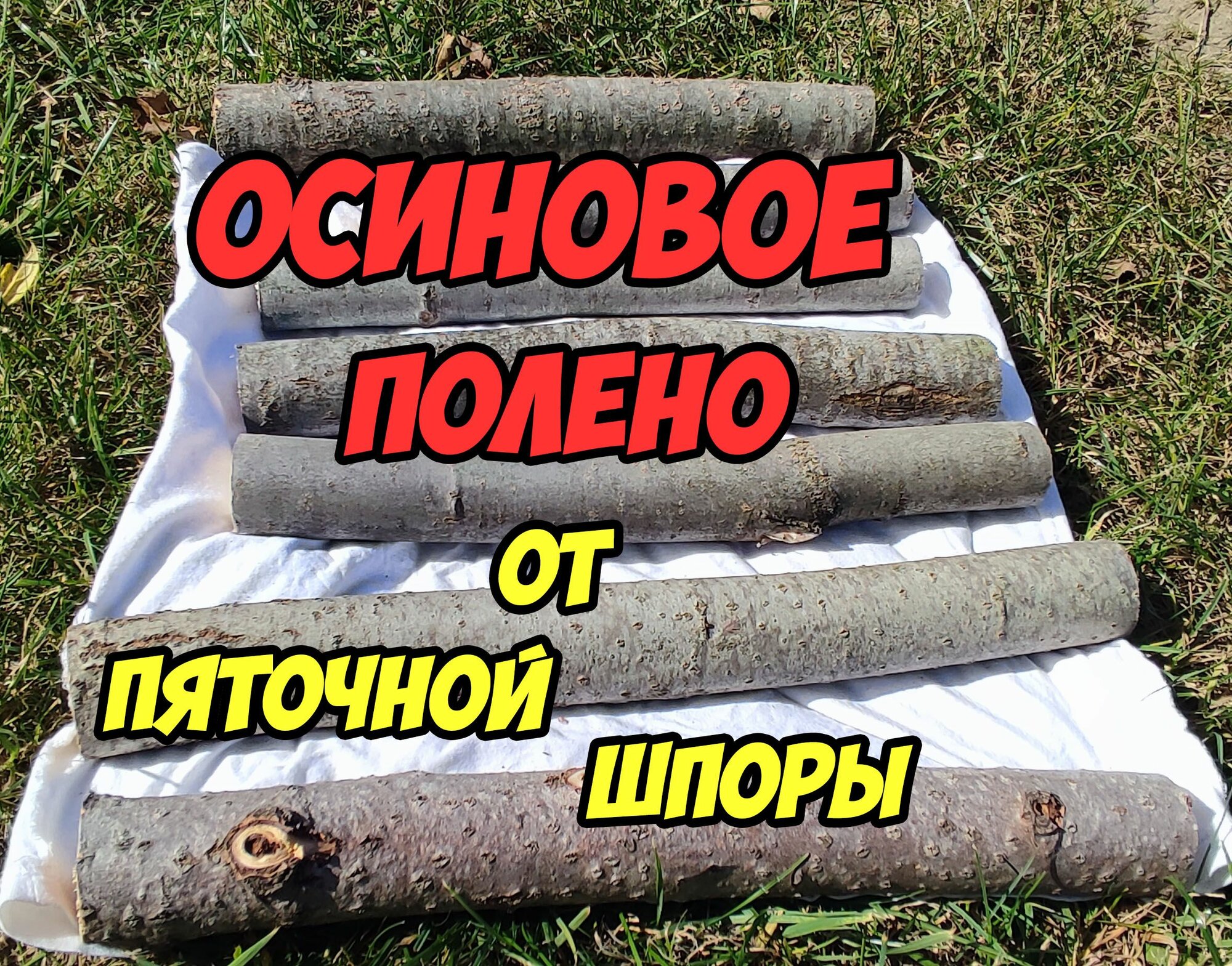 Осиновое полено - массажер от пяточной шпоры