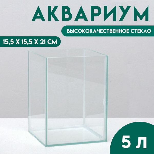 Отсадник односекционный 5 литров, 15.5 x 15.5 x 21 см, вид: отсадник