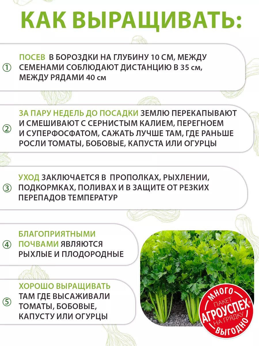 Семена сельдерея Парус черешковый и листовой 2г — фото 1