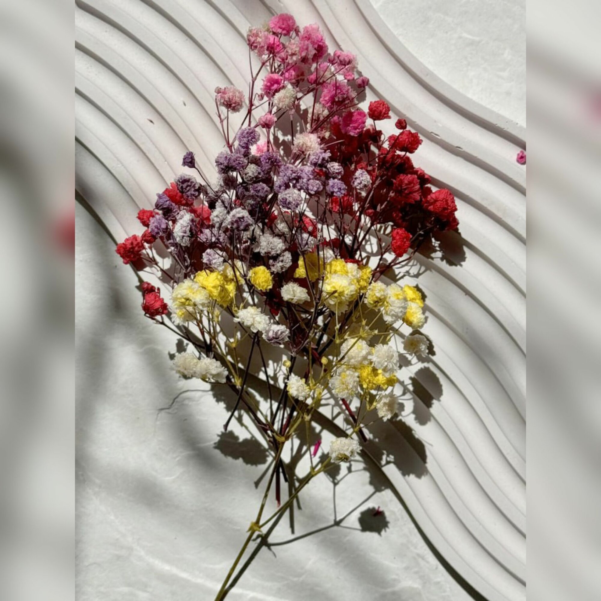Натуральные сухоцветы для декора гипсофилы EPOXYMASTER, набор 4 цвета — фото 1