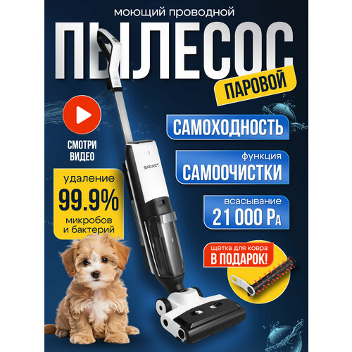 Вертикальный моющий пылесос с функцией пара для дома 3800000₽
