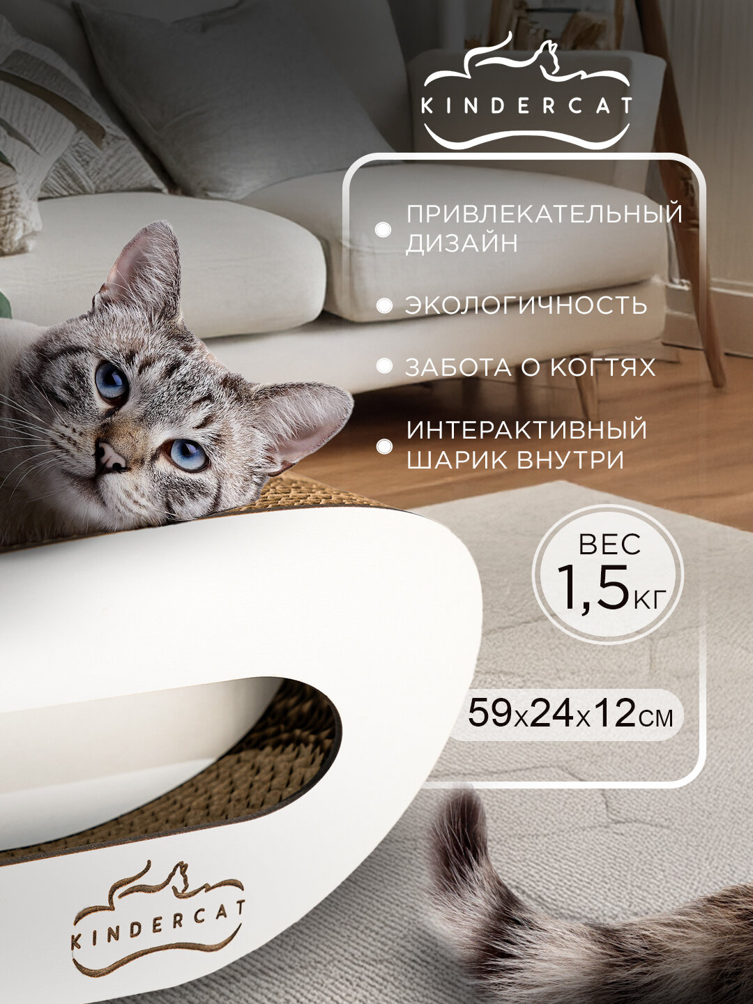 Когтеточка картонная KinderCat Saturn с мячиком для кошек — фото 1