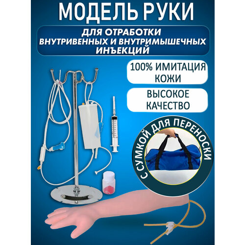 фото Анатомическая модель руки для отработки внутривенных и внутримышечных инъекций retorsa