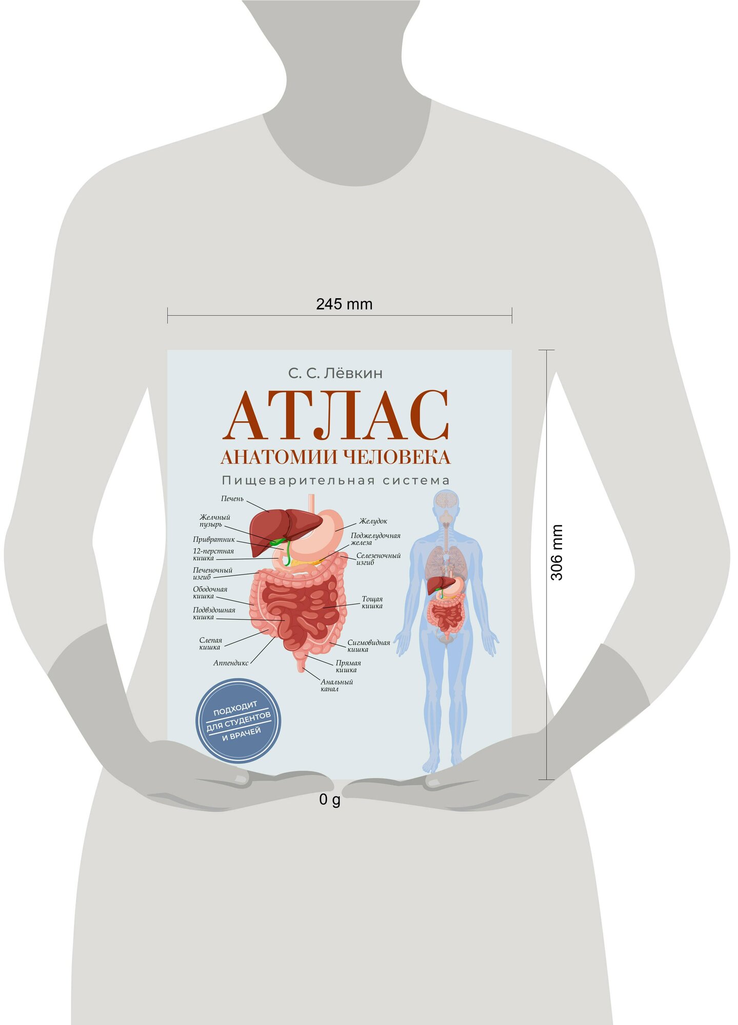 Атлас анатомии человека. Пищеварительная система — фото 1