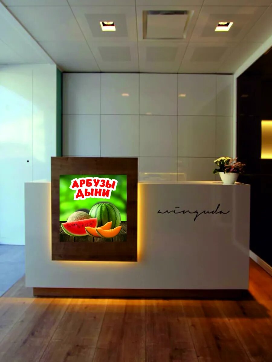 Наклейка арбузы дыни — фото 1