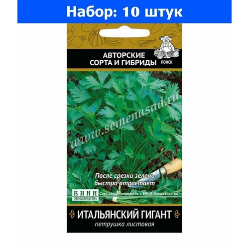 Петрушка Итальянский гигант листовая 3г Ср (Поиск) автор - 10 пачек семян