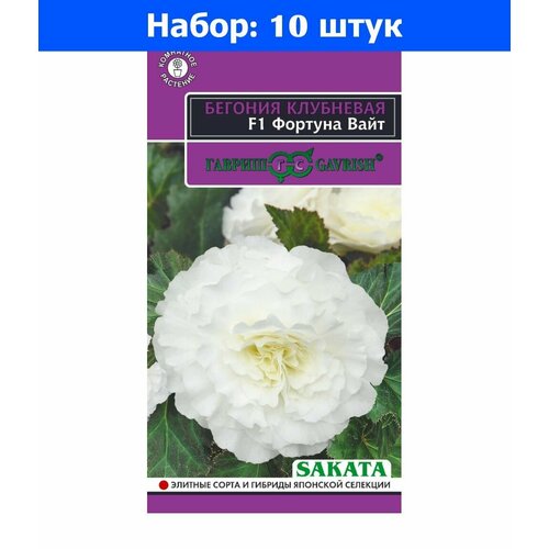 Бегония Фортуна Вайт F1 4шт Комн 20см (Гавриш) Эксклюзив - 10 пачек семян бегония фортуна голден f1 клубневневая гран 4 шт пробирка саката гавриш эксклюзив 10 пачек семян