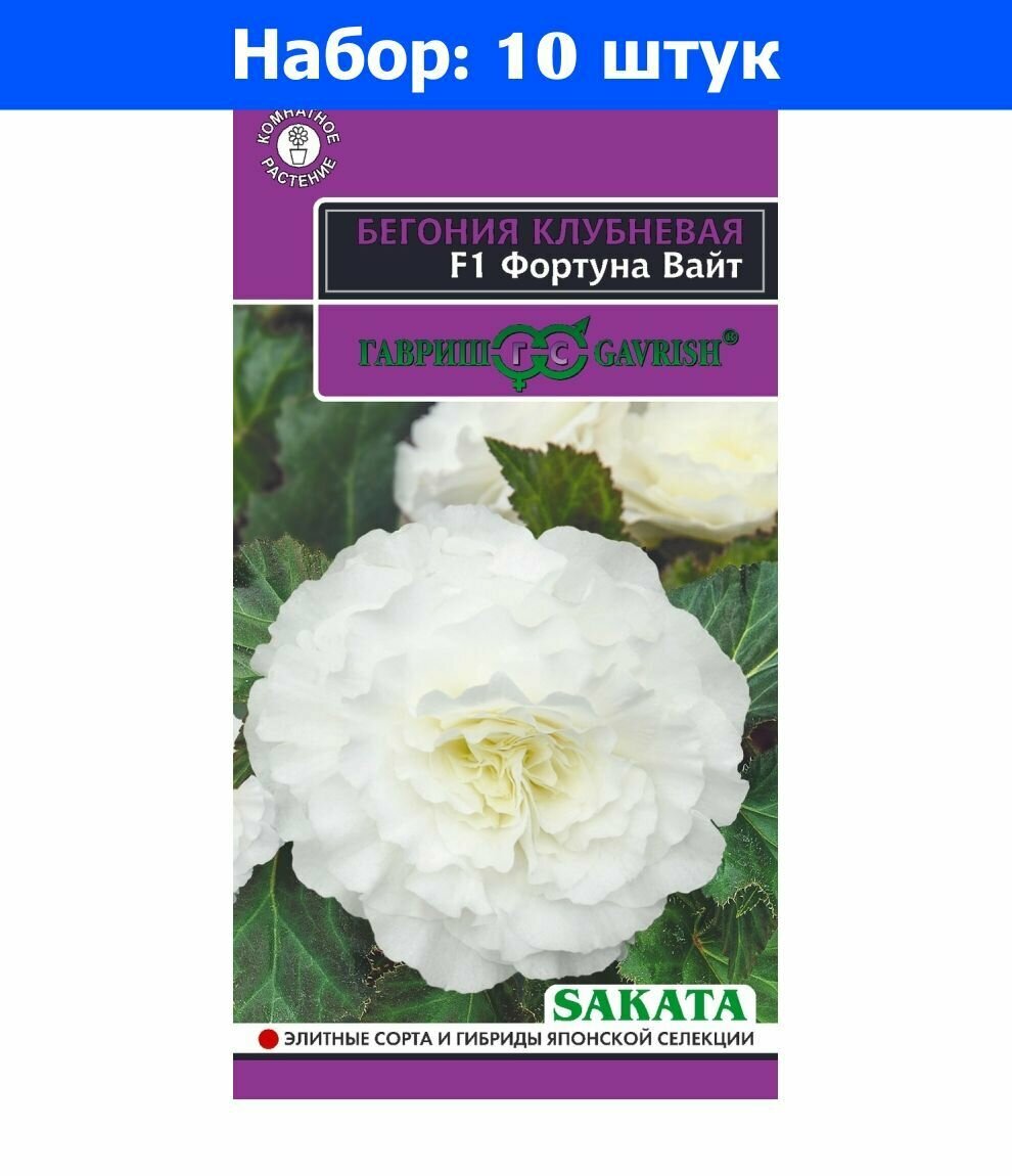Бегония Фортуна Вайт F1 4шт Комн 20см (Гавриш) Эксклюзив - 10 пачек семян