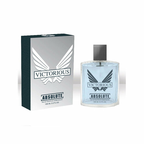 Delta Parfum Absolute Victorious туалетная вода 100 мл для мужчин today parfum туалетная вода absolute victorious 100 мл