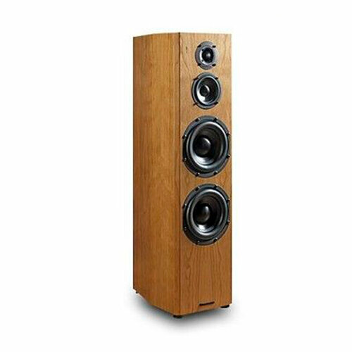 Напольная акустика Bryston MODEL MIDDLE T 47250000₽