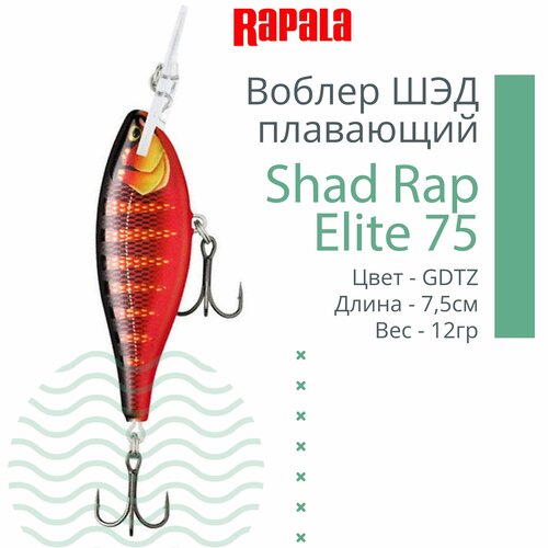 фото Воблер для рыбалки rapala shad rap elite 75, 7,5см, 12гр, цвет gdtz, плавающий