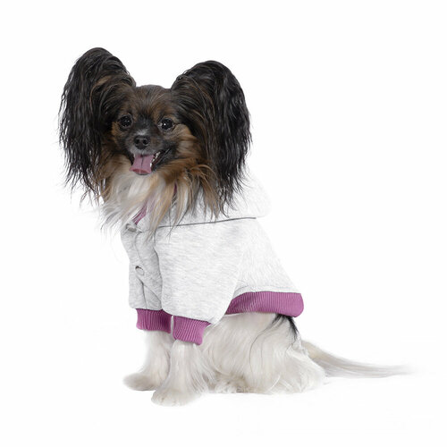 Одежда для животных Tappi толстовка для собак "Флип" для собак, серая с розовым