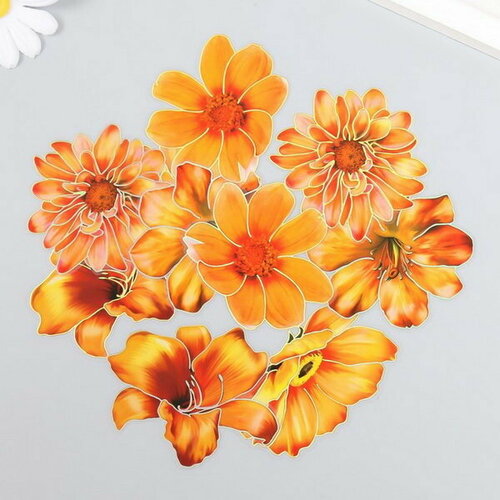 Наклейки для творчества Оранжевые цветы набор 10 шт 0.2х8.5х13.3 см