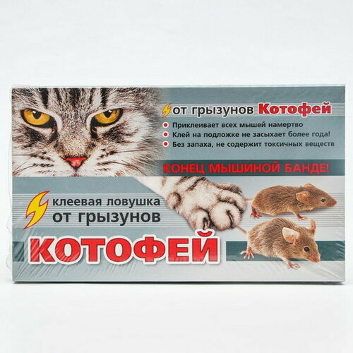 Клеевая ловушка Котофей, от грызунов, лоток, 1 шт клеевая ловушка котофей от грызунов лоток 1 шт 9484206