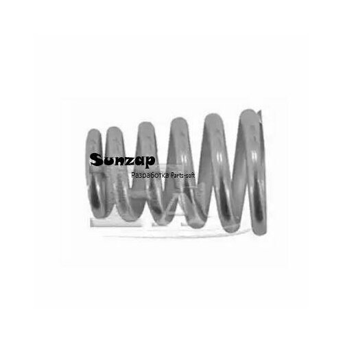 FA1 125-905 Пружина