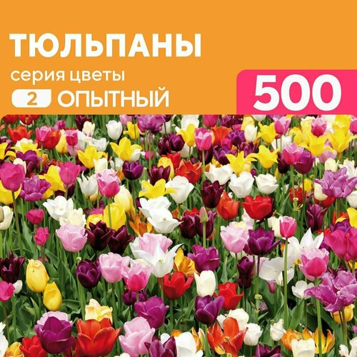 Деревянный пазл Тюльпаны 500 деталей Опытный