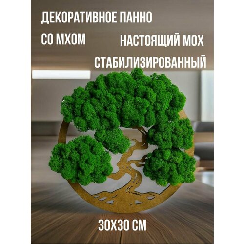 Панно с растениями настоящими из мха на стену для декора