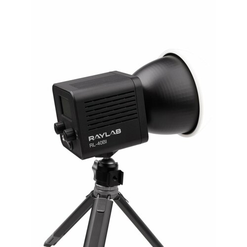 Осветитель светодиодный Raylab RL-40BI 2500-6500K 40W 3400mAh c акс-ми 1203000₽