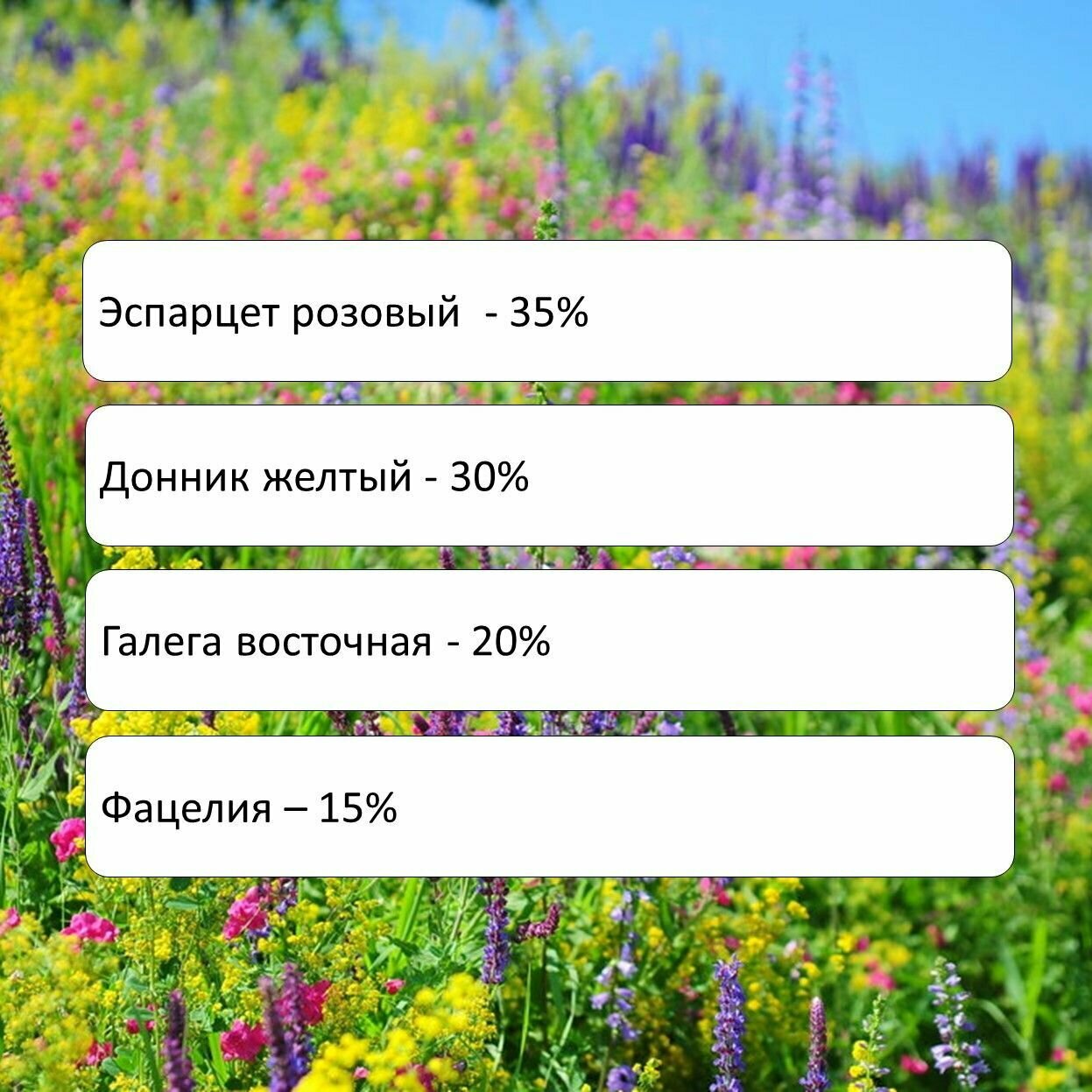 Семена сидерат Здоровый Сад Медоносы смесь, 0,5 кг х 2 шт (1 кг) — фото 4