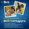 Фото #9 Brit Premium Dog Adult Medium сухой корм для взрослых собак средних пород (10-25 кг), с индейкой и телятиной - 3 кг