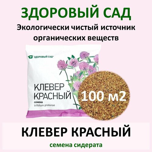 семена клевер розовый красный 100 г Семена сидерата клевер красный здоровый САД 0,5 кг (пакет)