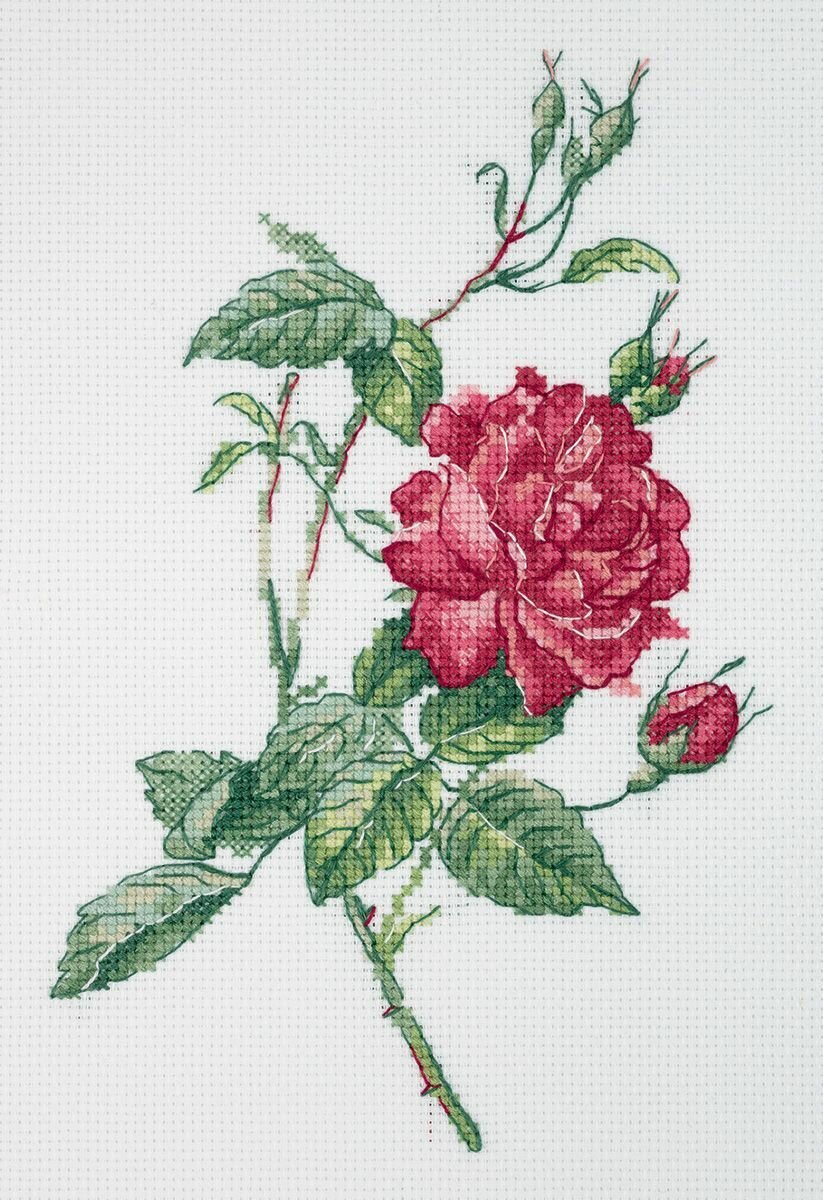 Набор для вышивания Klart 8-531 Ботаника. Роза