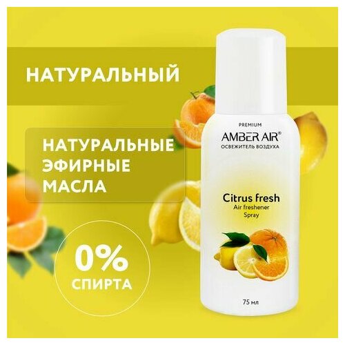 Сменный баллон аэрозольный 75 мл (аналог TORK, Система А1) AMBER AIR 